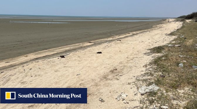 Mayat 8 migran China ditemukan di pantai Meksiko setelah kapal terbalik